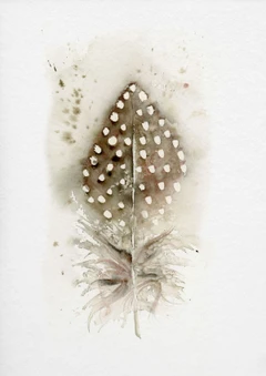 Image of a feather watercolor painting by Shayna Larsen, originals & prints available
