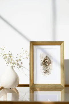 Image of a feather watercolor painting by Shayna Larsen, originals & prints available