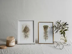 Image of a feather watercolor painting by Shayna Larsen, originals & prints available