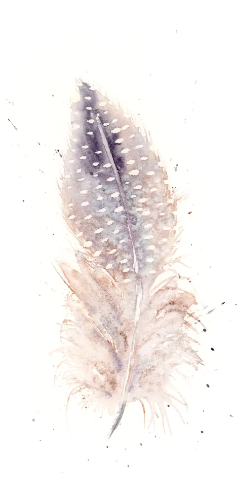 Image of a feather watercolor painting by Shayna Larsen, originals & prints available