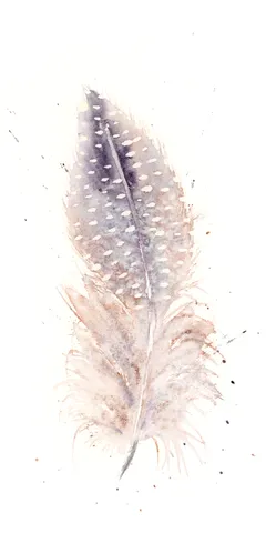 Image of a feather watercolor painting by Shayna Larsen, originals & prints available
