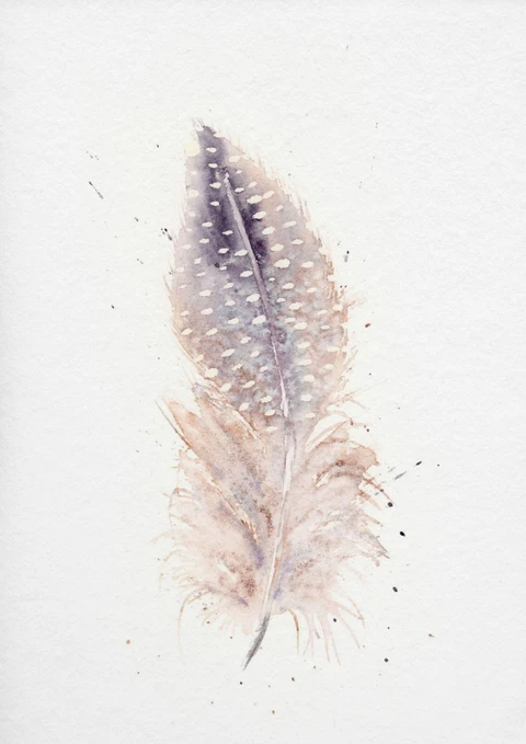 Image of a feather watercolor painting by Shayna Larsen, originals & prints available
