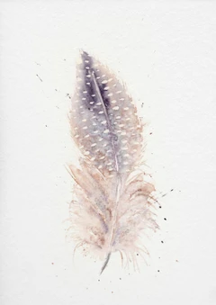 Image of a feather watercolor painting by Shayna Larsen, originals & prints available