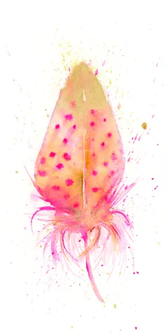 Image of a feather watercolor painting by Shayna Larsen, originals & prints available