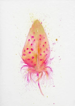 Image of a feather watercolor painting by Shayna Larsen, originals & prints available
