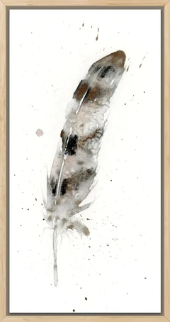 Image of a feather watercolor painting by Shayna Larsen, originals & prints available
