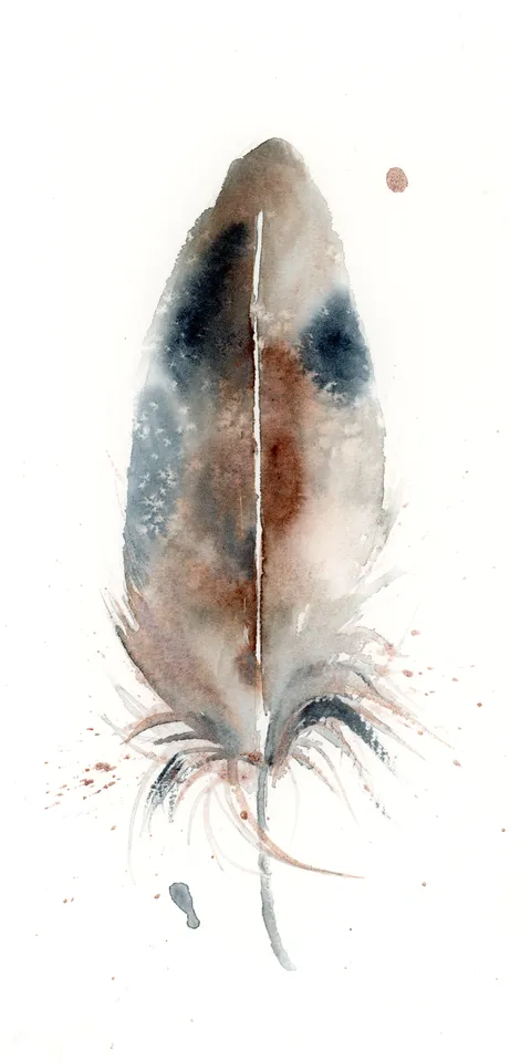 Image of a feather watercolor painting by Shayna Larsen, originals & prints available