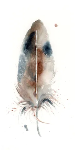 Image of a feather watercolor painting by Shayna Larsen, originals & prints available