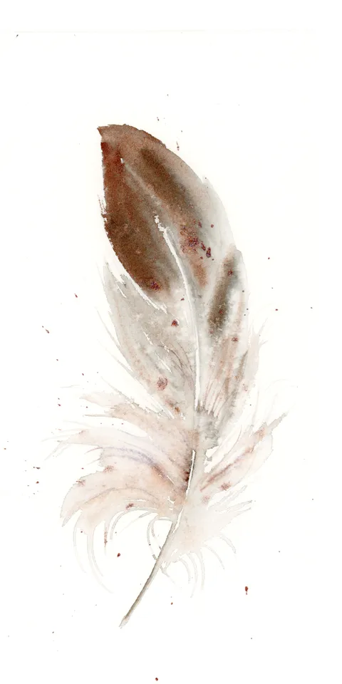 Image of a feather watercolor painting by Shayna Larsen, originals & prints available