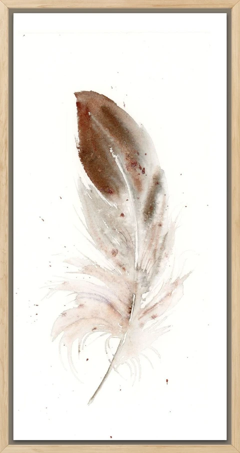 Image of a feather watercolor painting by Shayna Larsen, originals & prints available