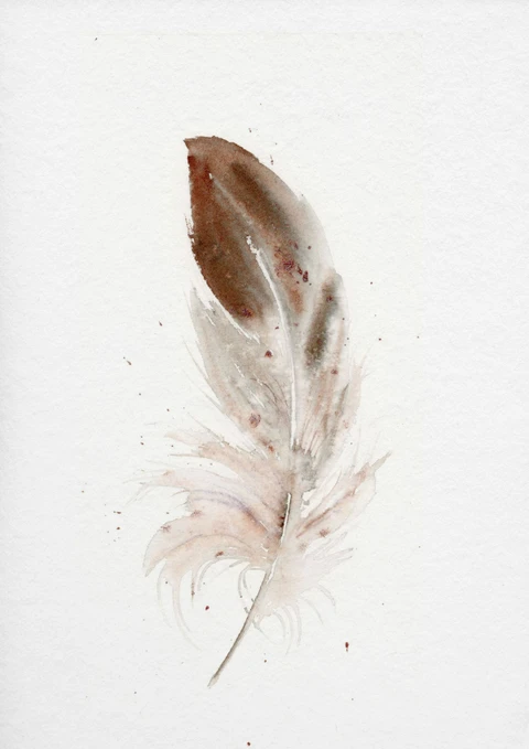 Image of a feather watercolor painting by Shayna Larsen, originals & prints available