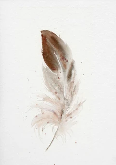Image of a feather watercolor painting by Shayna Larsen, originals & prints available