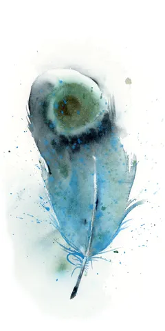 Image of a feather watercolor painting by Shayna Larsen, originals & prints available