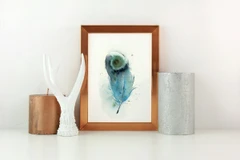 Image of a feather watercolor painting by Shayna Larsen, originals & prints available