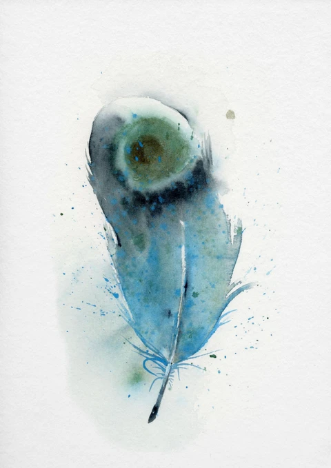 Image of a feather watercolor painting by Shayna Larsen, originals & prints available