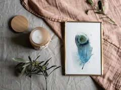 Image of a feather watercolor painting by Shayna Larsen, originals & prints available