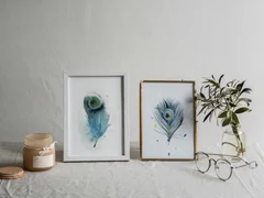 Image of a feather watercolor painting by Shayna Larsen, originals & prints available