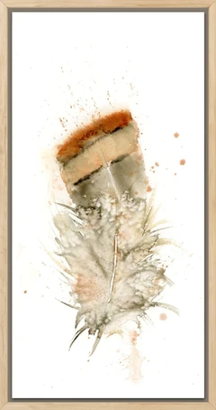 Image of a feather watercolor painting by Shayna Larsen, originals & prints available