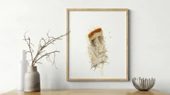 Image of a feather watercolor painting by Shayna Larsen, originals & prints available