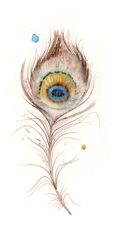 Image of a feather watercolor painting by Shayna Larsen, originals & prints available