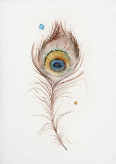 Image of a feather watercolor painting by Shayna Larsen, originals & prints available