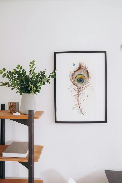 Image of a feather watercolor painting by Shayna Larsen, originals & prints available
