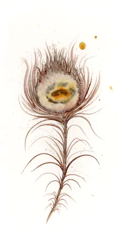Image of a feather watercolor painting by Shayna Larsen, originals & prints available