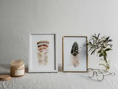 Image of a feather watercolor painting by Shayna Larsen, originals & prints available