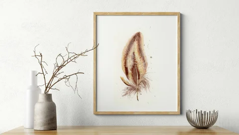 Image of a feather watercolor painting by Shayna Larsen, originals & prints available