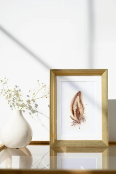 Image of a feather watercolor painting by Shayna Larsen, originals & prints available