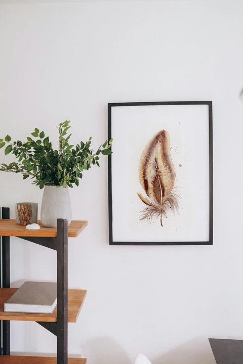 Image of a feather watercolor painting by Shayna Larsen, originals & prints available