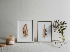 Image of a feather watercolor painting by Shayna Larsen, originals & prints available