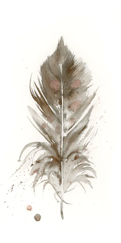 Image of a feather watercolor painting by Shayna Larsen, originals & prints available