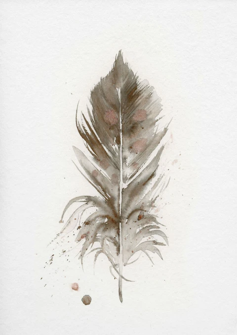 Image of a feather watercolor painting by Shayna Larsen, originals & prints available