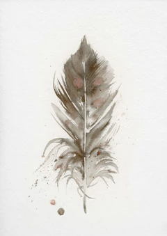 Image of a feather watercolor painting by Shayna Larsen, originals & prints available