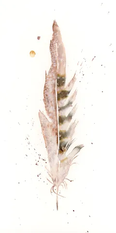 Image of a feather watercolor painting by Shayna Larsen, originals & prints available