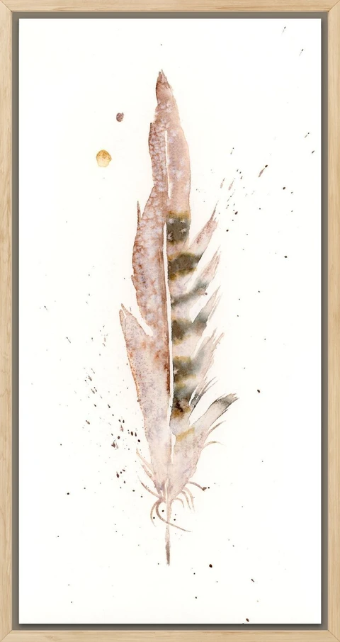 Image of a feather watercolor painting by Shayna Larsen, originals & prints available