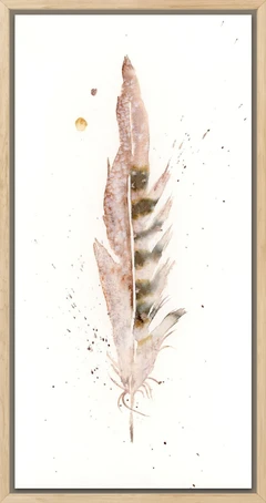 Image of a feather watercolor painting by Shayna Larsen, originals & prints available