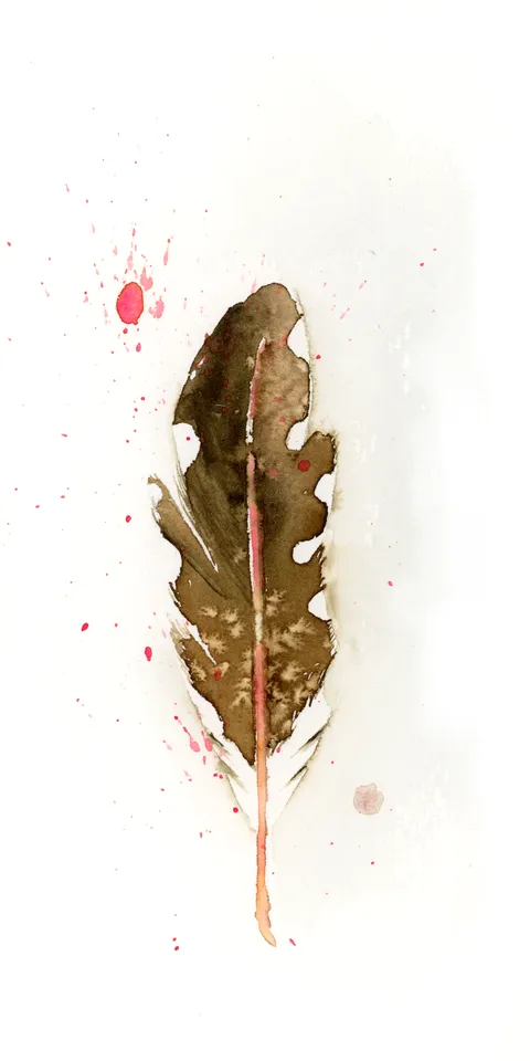 Image of a feather watercolor painting by Shayna Larsen, originals & prints available