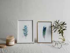 Image of a feather watercolor painting by Shayna Larsen, originals & prints available