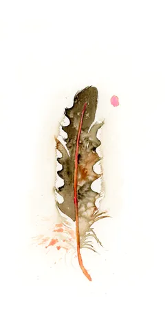 Image of a feather watercolor painting by Shayna Larsen, originals & prints available