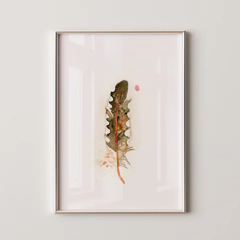 Image of a feather watercolor painting by Shayna Larsen, originals & prints available