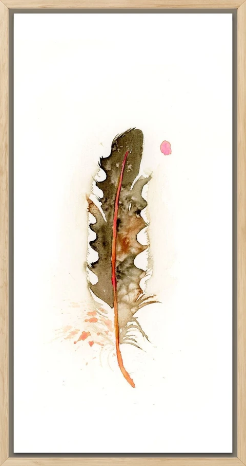 Image of a feather watercolor painting by Shayna Larsen, originals & prints available