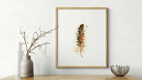 Image of a feather watercolor painting by Shayna Larsen, originals & prints available