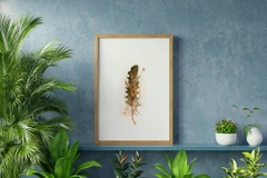 Image of a feather watercolor painting by Shayna Larsen, originals & prints available