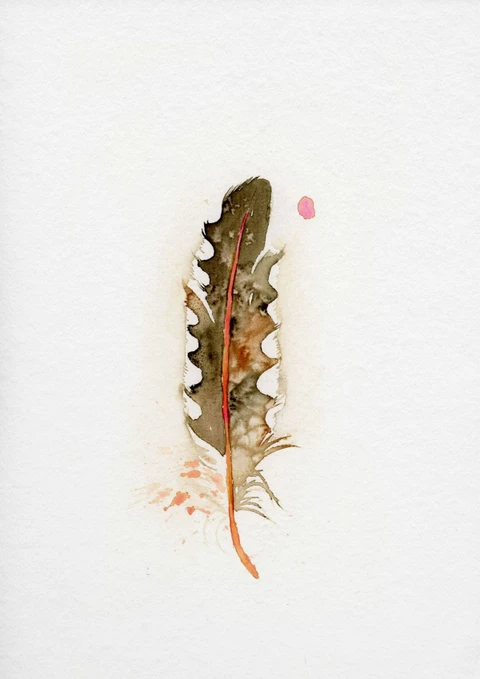 Image of a feather watercolor painting by Shayna Larsen, originals & prints available
