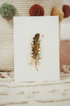 Image of a feather watercolor painting by Shayna Larsen, originals & prints available