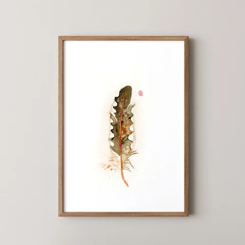 Image of a feather watercolor painting by Shayna Larsen, originals & prints available