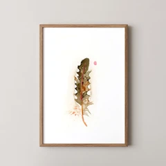 Image of a feather watercolor painting by Shayna Larsen, originals & prints available