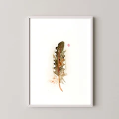 Image of a feather watercolor painting by Shayna Larsen, originals & prints available